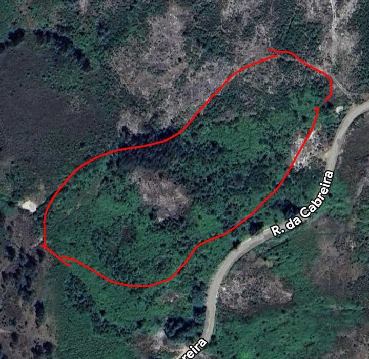 Terreno rústico 1.8 ha com duas nascentes e bons acessos