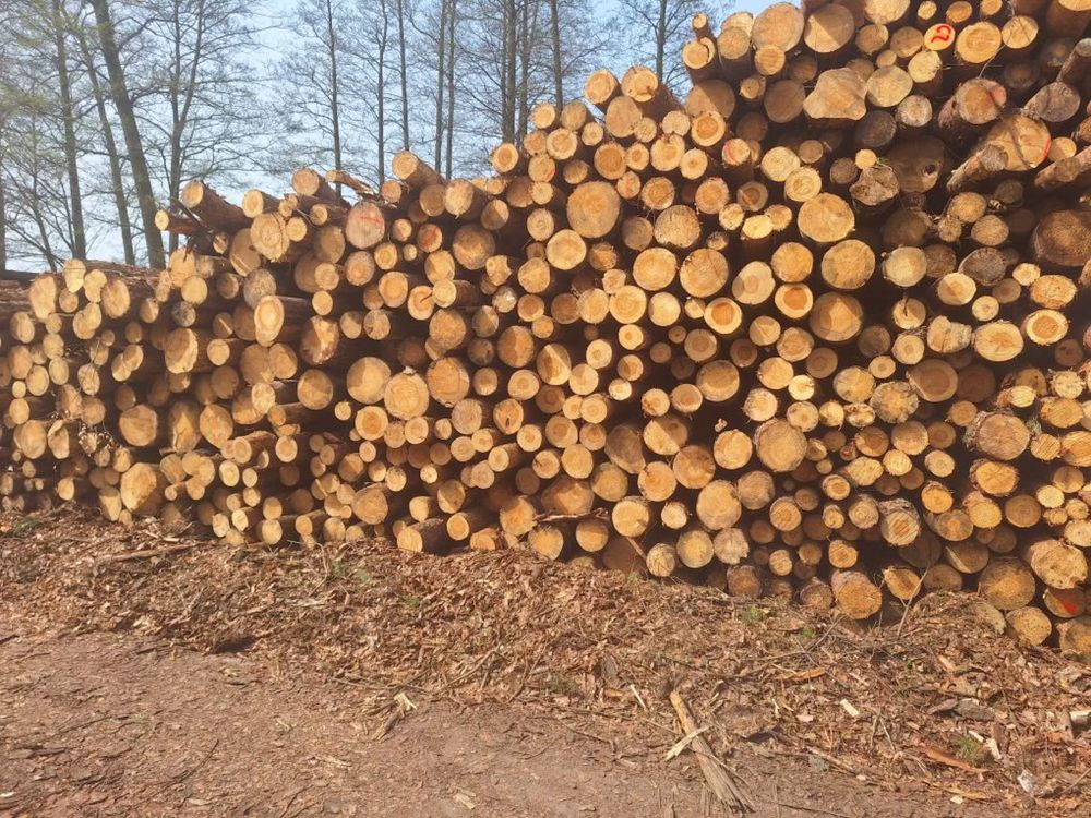 Drewno opalowe z dostawa gratis
