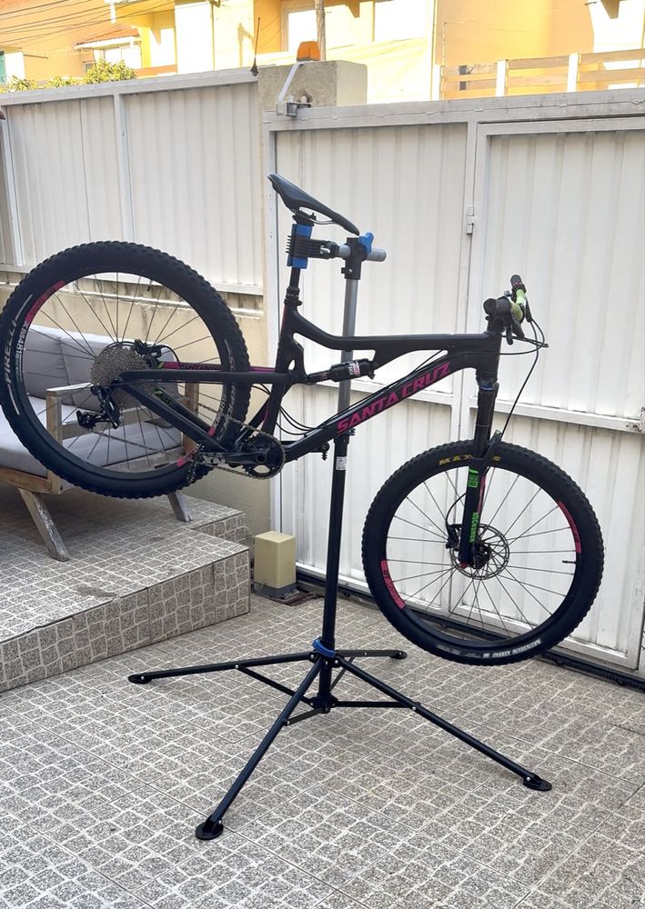 Santa cruz bronson c