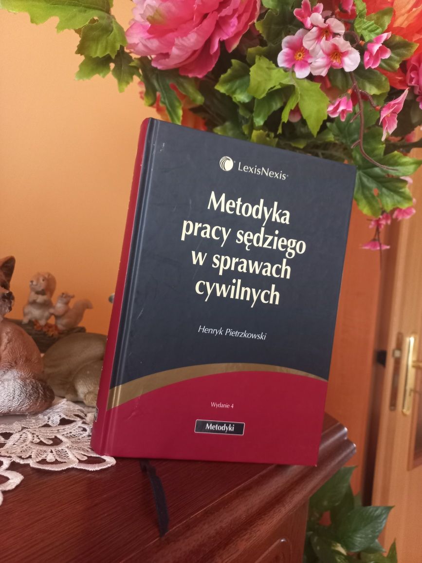 Metodyka pracy sędziego w sprawach cywilnych
