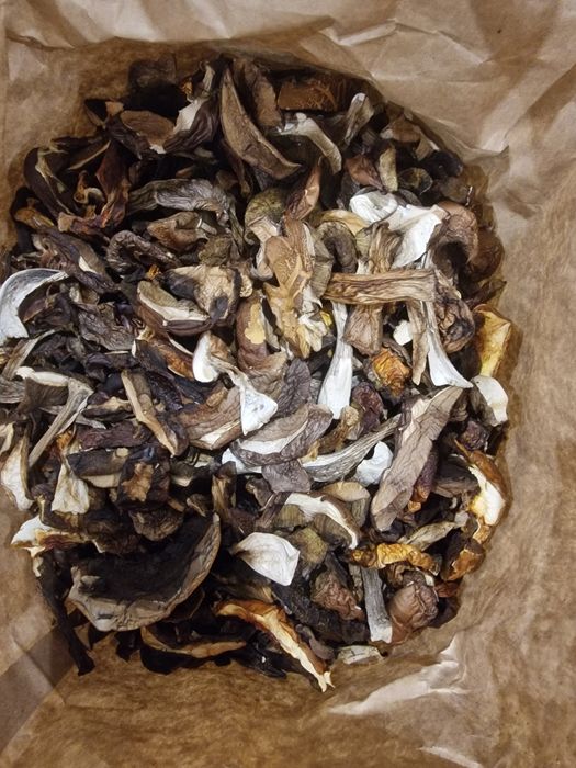 Grzyby suszone prawdziwki, koźlarze i podgrzybki