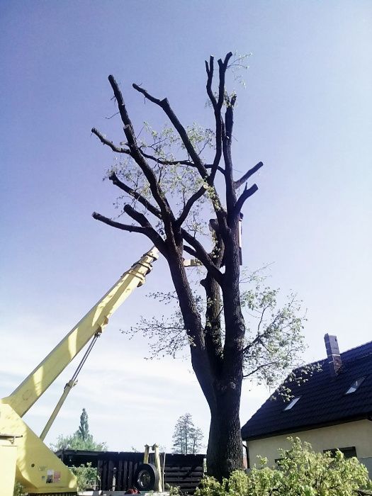 Prace dekarskie, wycinka drzew, czyszczenie rynien, podnośnik koszowy