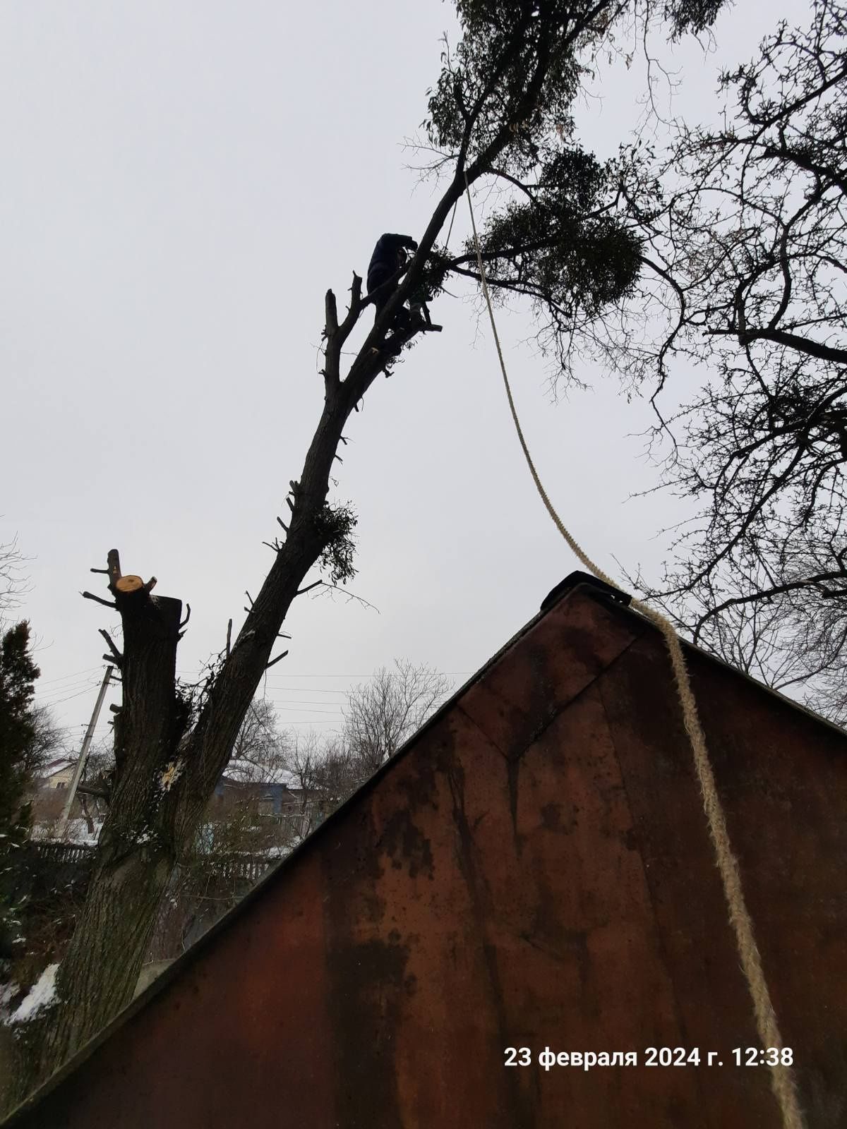 Обрезка деревьев в труднодоступных местах