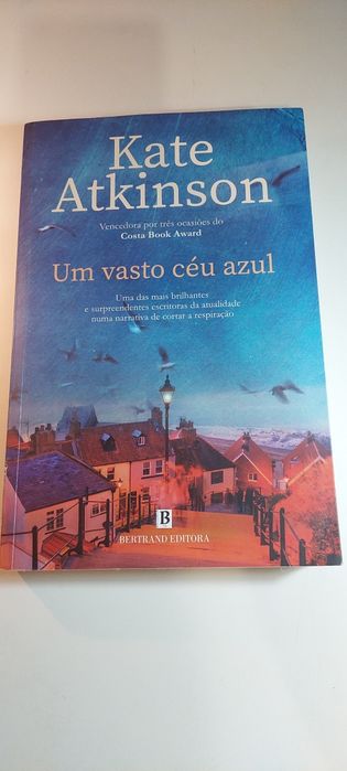 Um Vasto Céu Azul - Kate Atkinson