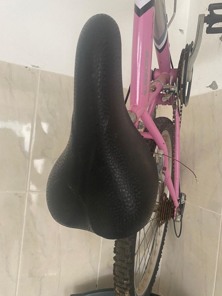 Bicicleta - Bicicletas Coelho