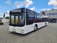 MAN Lion&#039;s City A37 602P  Autobus MAN Lion's City A37 602P  z 2011 roku
