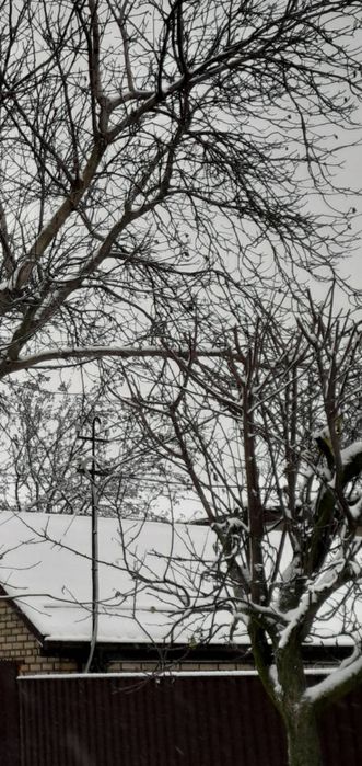 Видалення аварійних дерев Є послуги автовишки. Є послуги ЩЕПОРІЗА