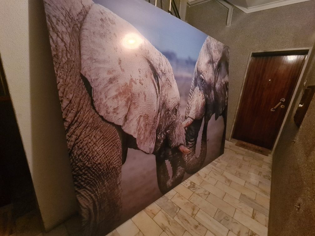 Quadro Grande de Elefante