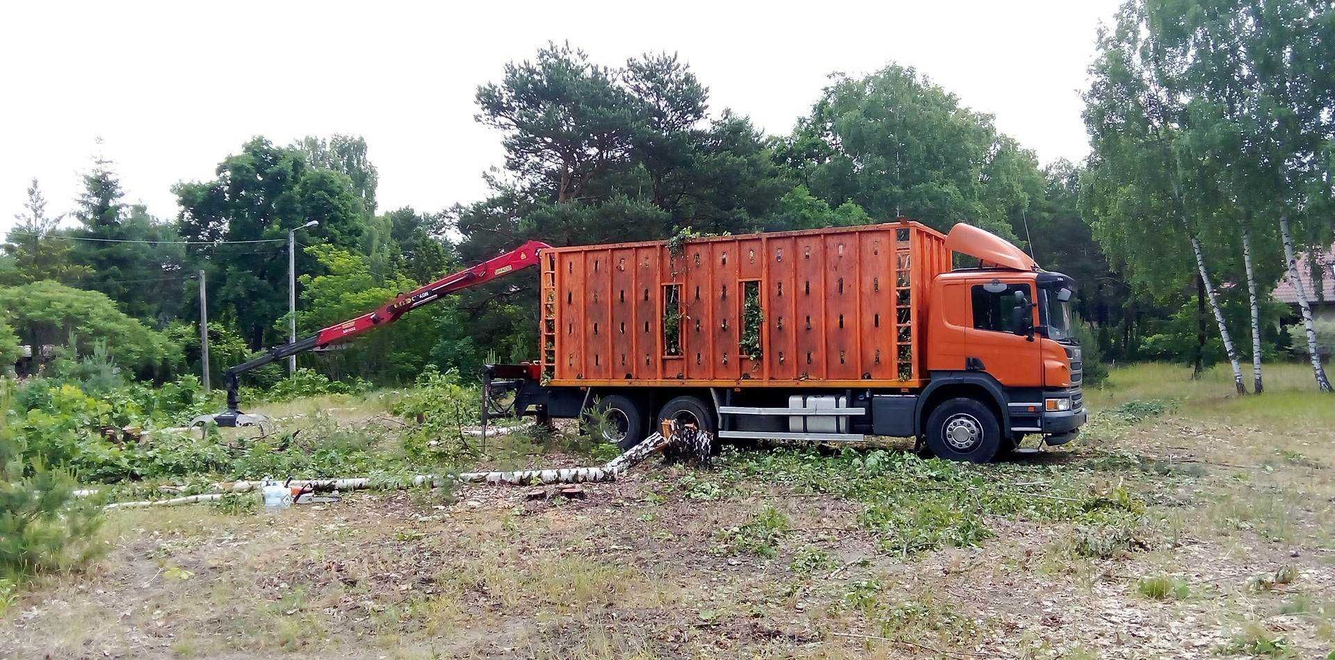 Wywóz gałęzi, karp, drzew, wywóz odpadów zielonych