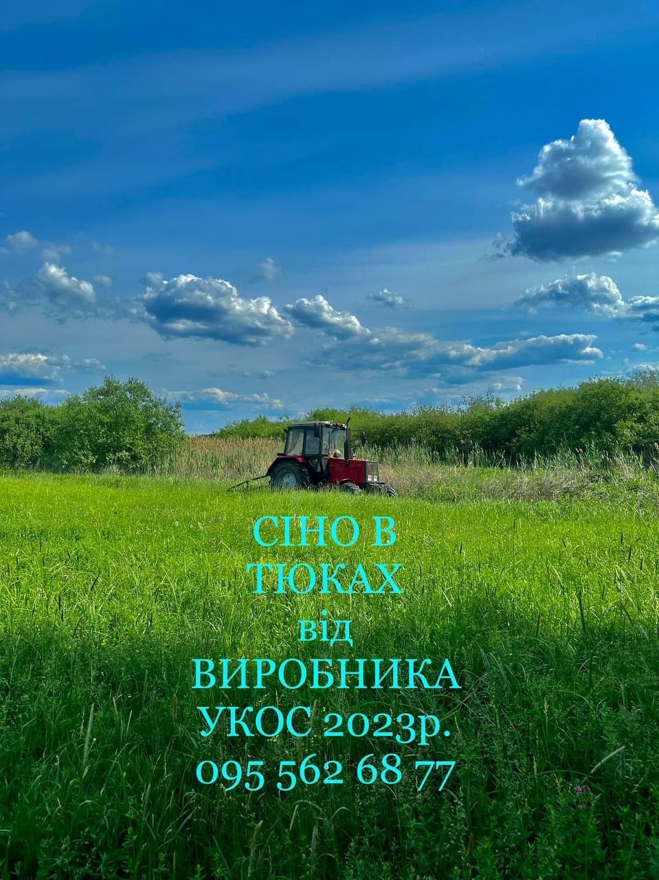 СІНО (Сено) Лугове в тюках. Біла Церква!