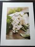 Plakat Bzy 30x40