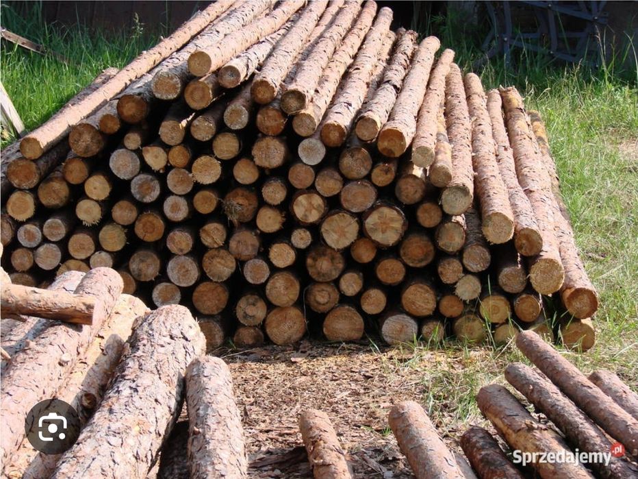 Stemple budowlane 310cm / 307