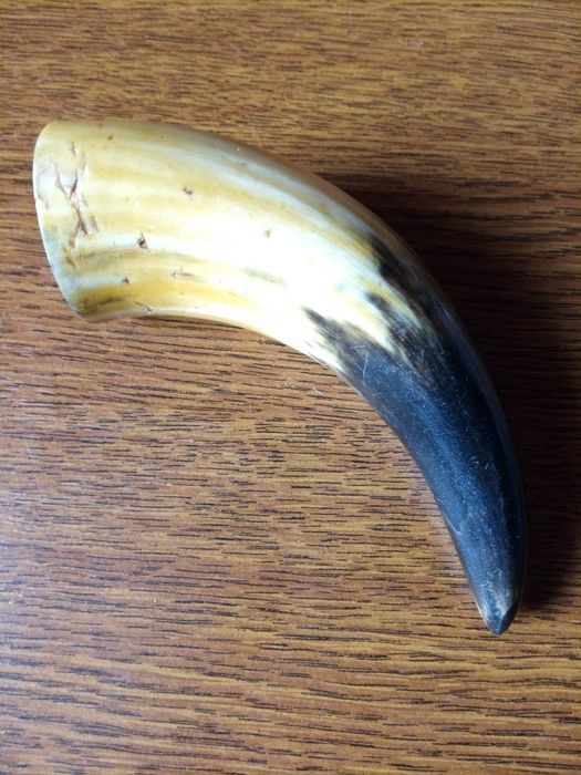 Рога натуральные