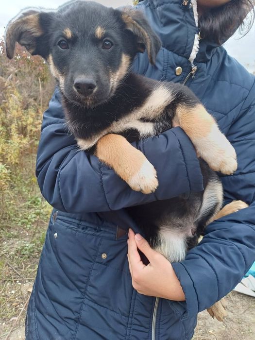SOS!!! Допоможіть отримати сім'ю, дві дівчинки