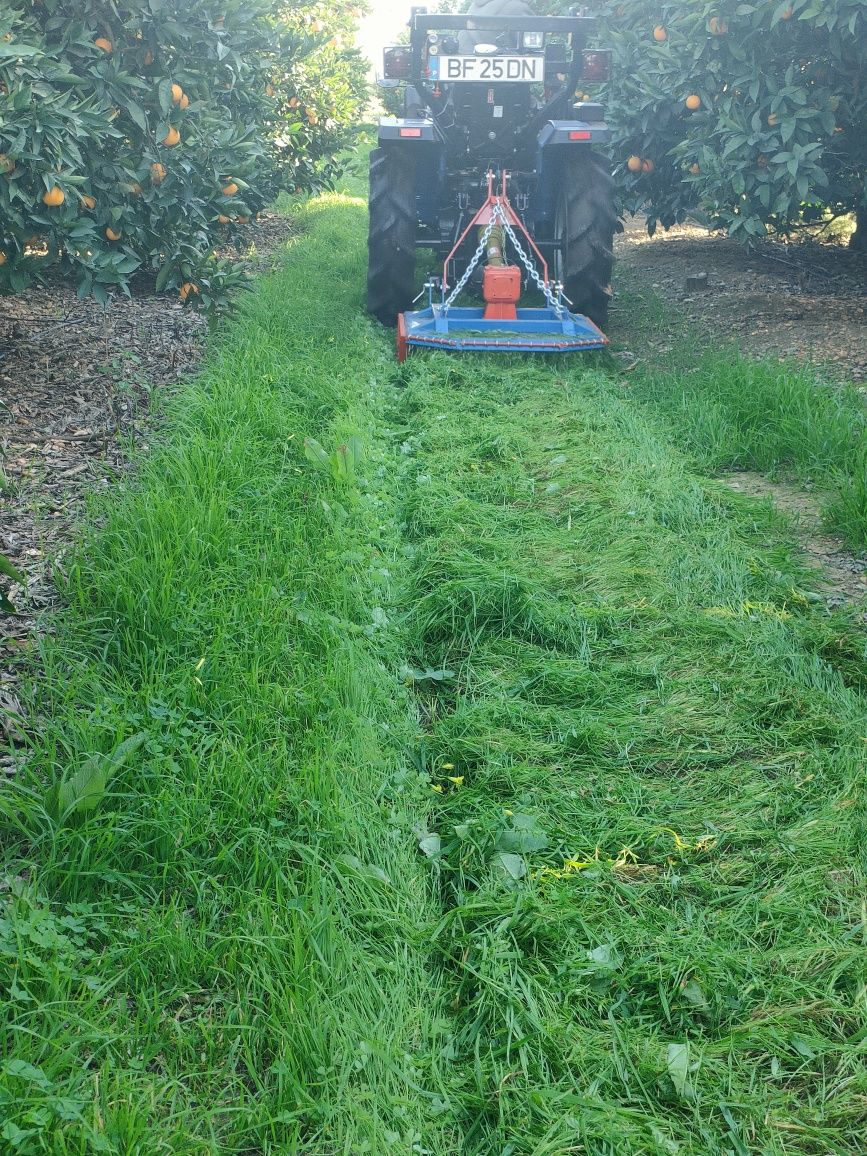 Limpeza de terrenos e outros / land clearing