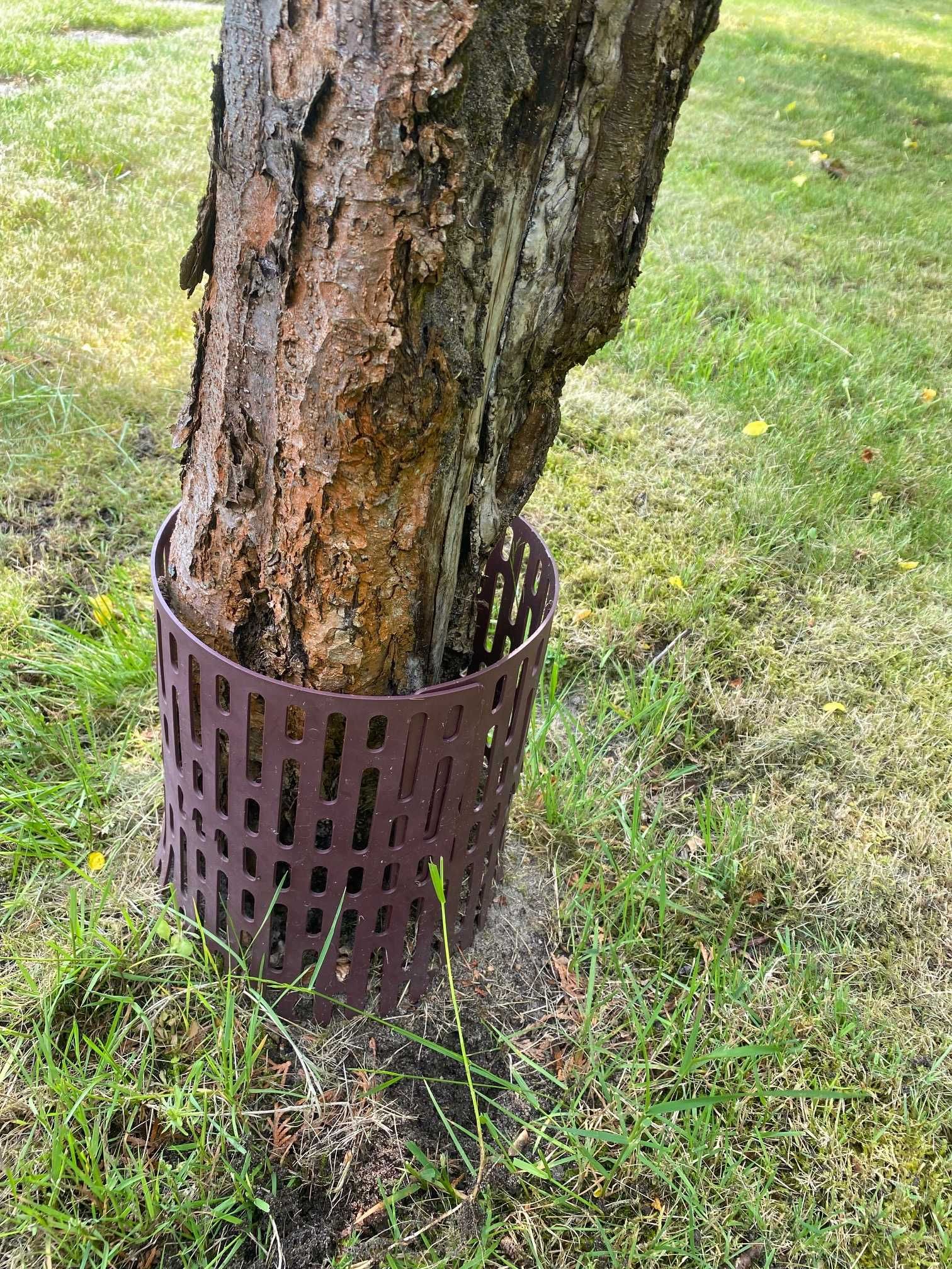 Osłonka/Ochraniacz pnia drzewka podczas koszenia