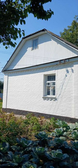 Будинок, Мироцьке