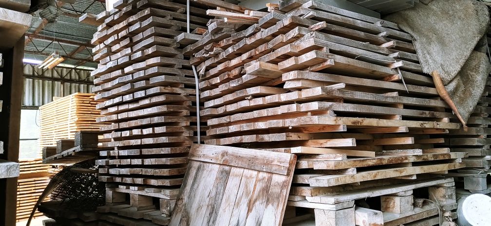 Dąb 20 letni suchy 120cm gr.30-50mm