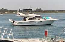 Astondoa 40 Fisher