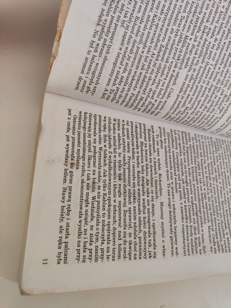 Nadzieja pokonanych - Terry Goodkind .
