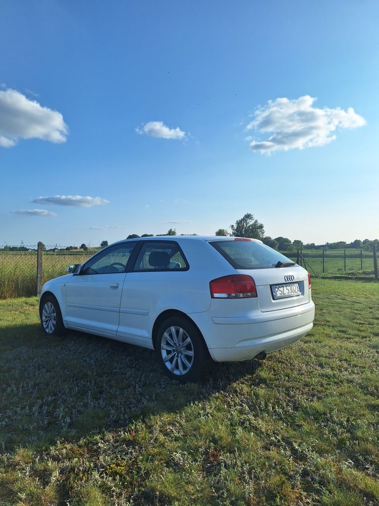 Audi A3 8P lifting