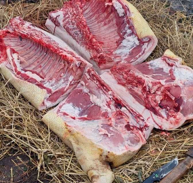 Свинина домашня, тушка, напівтушка, четвертина