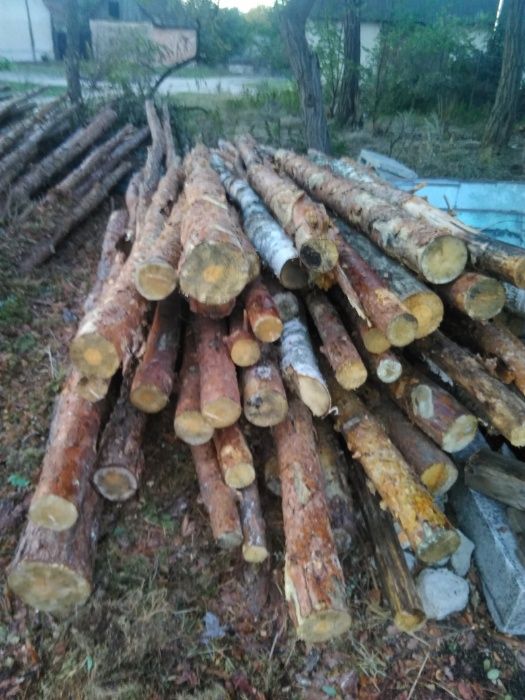 Drewno opałowe- kominkowe suche