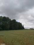 Sprzedam działkę rolną w Gójsku 42900 m2