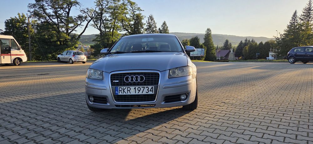 Audi A3 8p 2.0 tdi