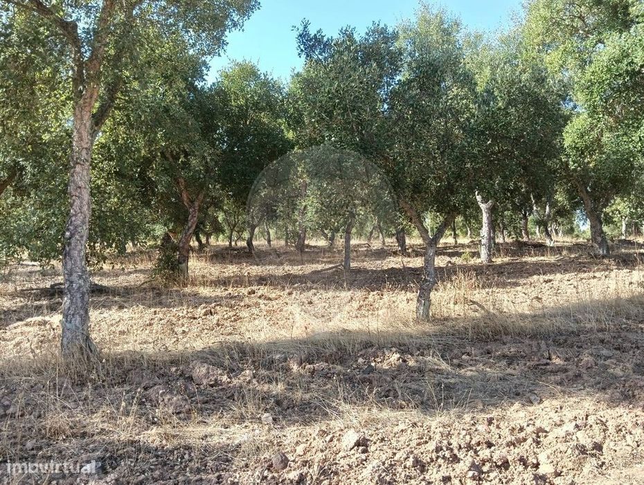 Terreno  para venda