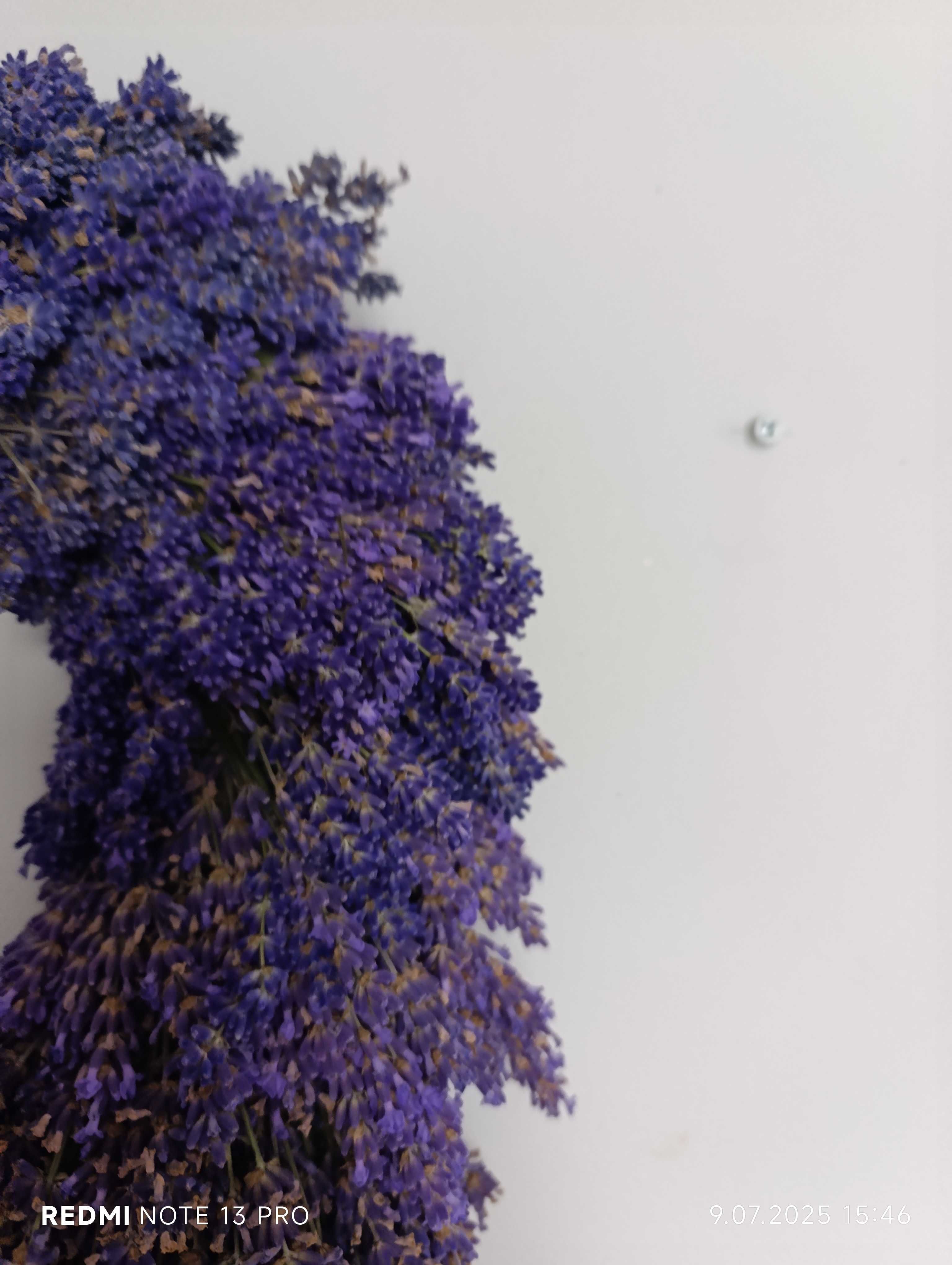 Wianek z lawendy Boho DIY
