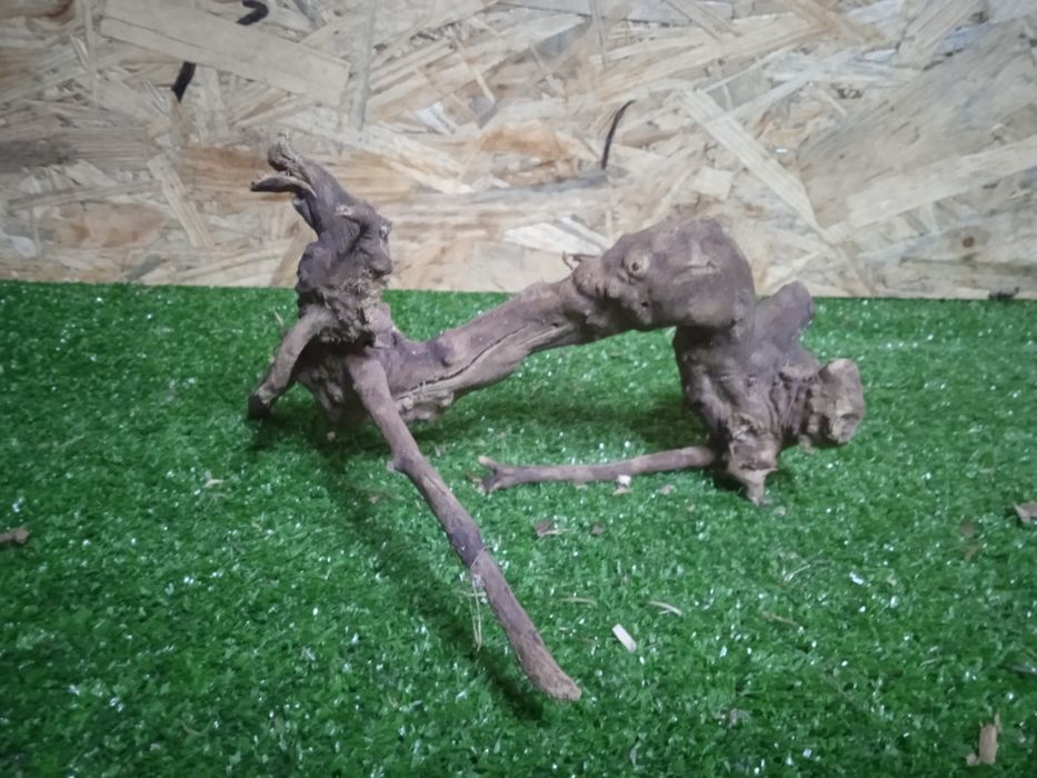 Korzeń do akwarium Red Moore Wood nr 738 o wymiarach 21/16/12