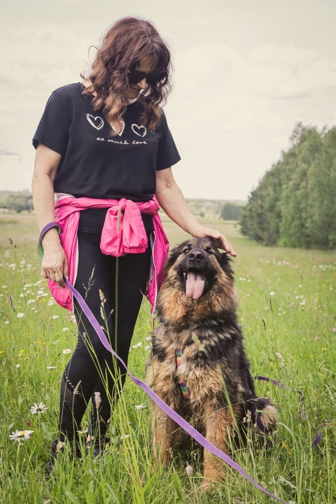 Kochana suczka owczarek niemiecki adoptuj