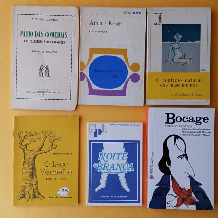 Coleção de Livros Mistos - Autores Variados - Conjunto 19