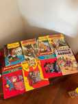 Conjunto de Livros variados
