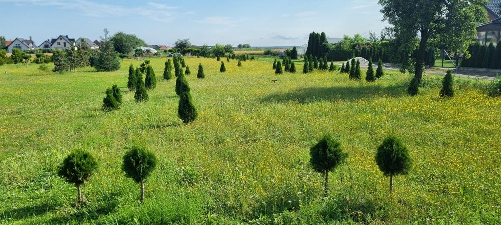 Sprzedam działkę budowlaną o powierzchni 19 arów