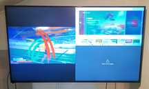 TV/Monitor LG 55" 4K Multi Screen