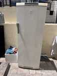 Freezer Electrolux