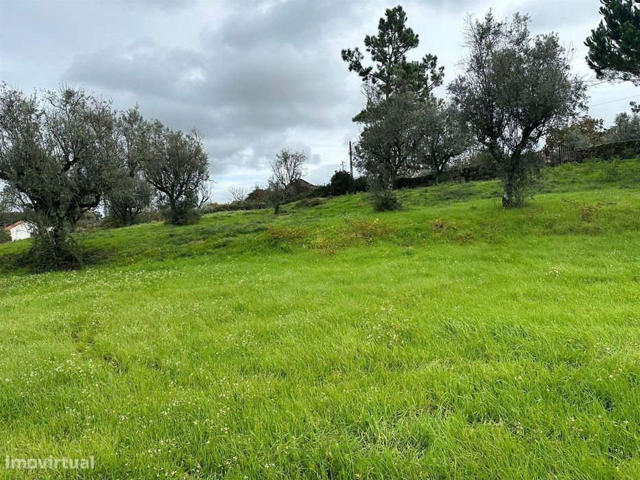 Lote de Terreno  Venda em Silgueiros,Viseu