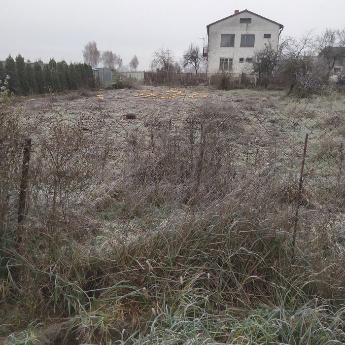 Gospodarstwo rolne 5,46 ha Lelice