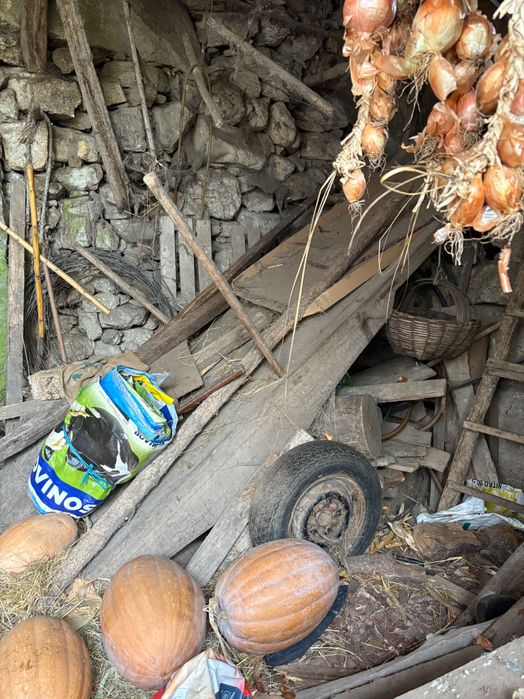 Carro de tração animal