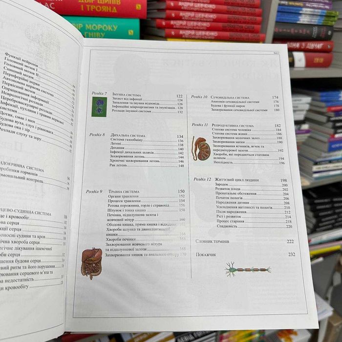 Тоні Сміт Людина. Навчальний посібник з анатомії та фізіології