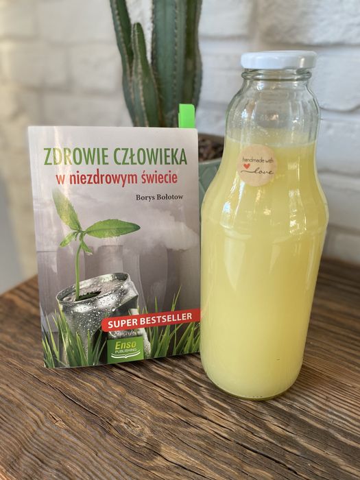 Zakwas Bołotowa 1 litr w szkle na koziej serwatce z glistnikiem