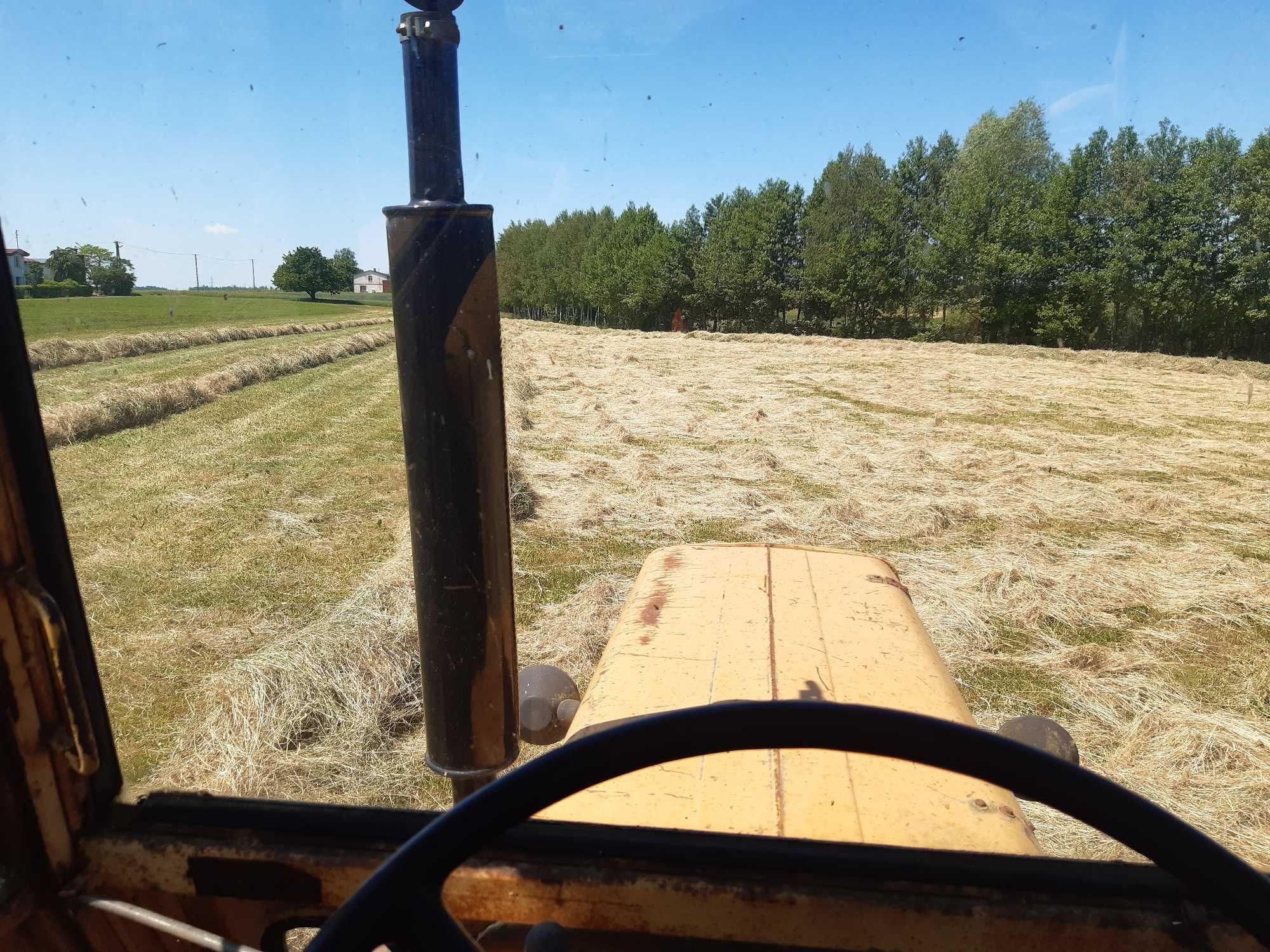 Siano mała kostka , słoma