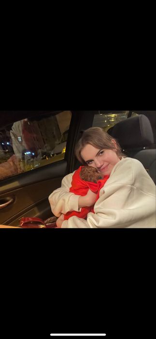 opieka nad zwierzętami/spacery - Warszawa