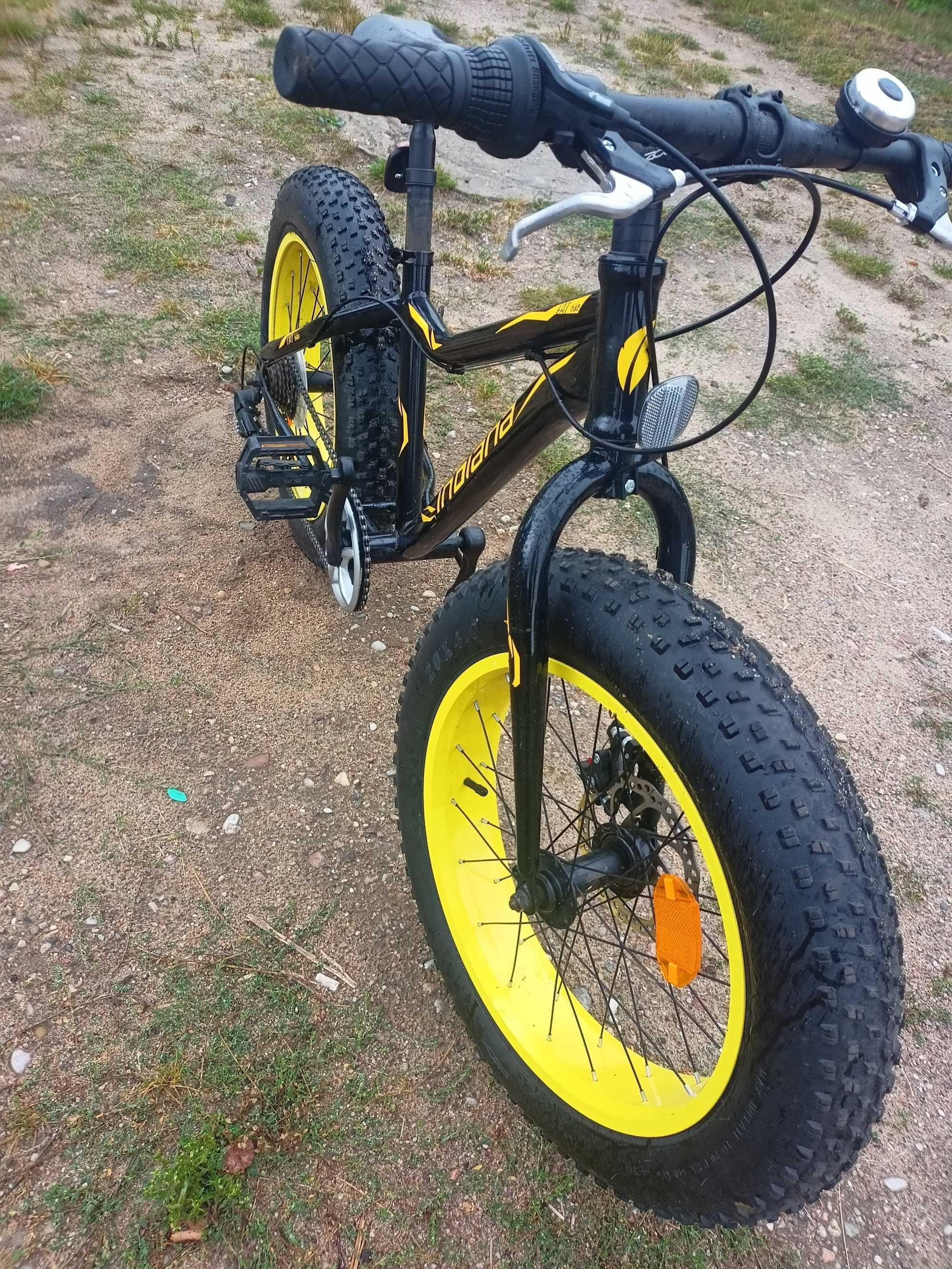 Rower Indiana fat bike