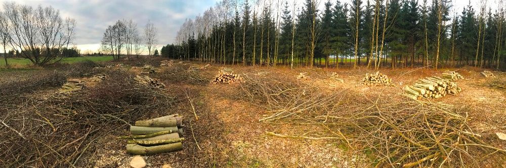 Wycinka drzew rębak pielęgnacja ogrodu koszenie traw frezowanie pni