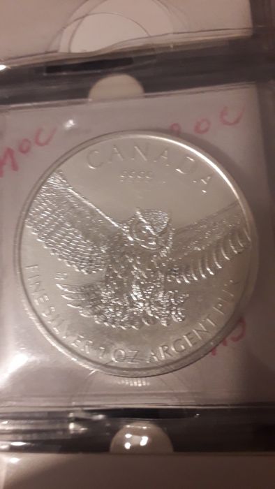 Dez onças prata pura.