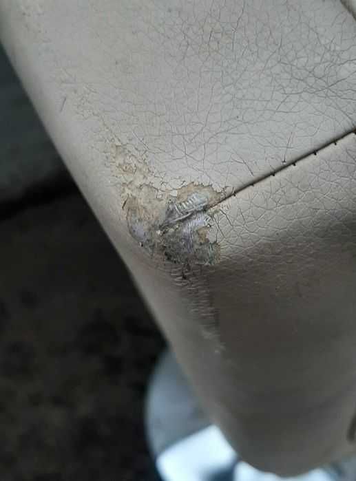 Стулья с газлифтом- 30 штук - пересылка по Украине