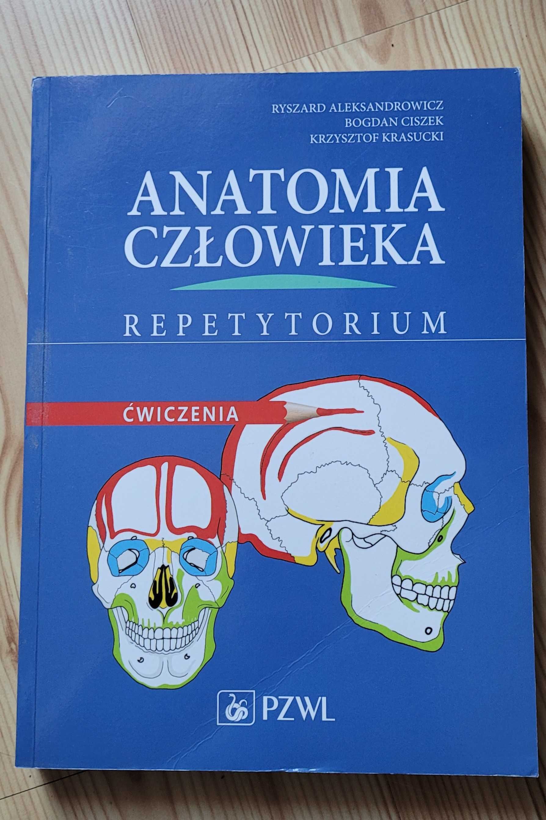 Anatomia repetytorium ćwiczenia kolorowanka PZWL